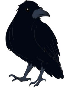 Raven PNG-71470